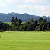 galleries/2011/07/green1.jpg