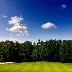 galleries/2011/07/green3.jpg