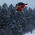 galleries/2011/12/phoca_thumb_l_ss4.jpg