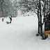 galleries/2011/12/phoca_thumb_l_ss7.jpg