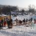 galleries/2012/02/vlek3.jpg