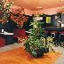 galleries/2012/03/hotel-fogl-2.jpg