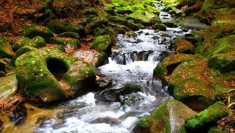 Národní park Šumava