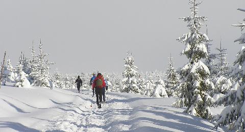 Zimní výlety - Běžky N. Bystřice,Hradiště,N. Vojířov,Peršlák