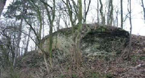 Zřícenina hradu Choustníkovo Hradiště