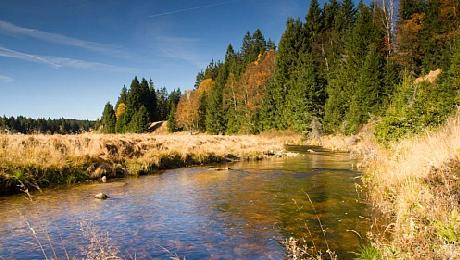 Národní park Šumava