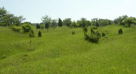 CHKO Bílé Karpaty