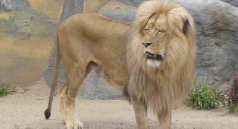 Zoologická zahrada Ústí nad Labem