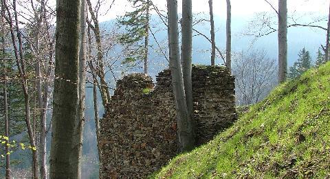 zřícenina hradu Edelštejn