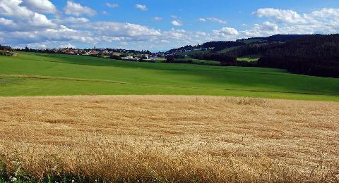 Zwettl an der Rödl