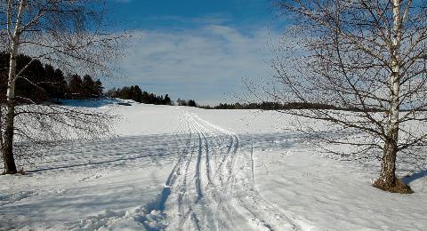 Zimní výlety - Běžky Waldviertel, Litschau, Haugschlag