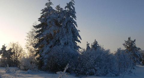 Šumava